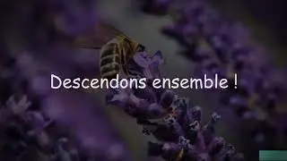 Delibes: Lakm&eacute; - Duo des fleurs LYRICS