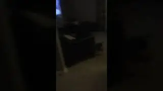 Teaching my pug to play football check description