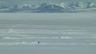 But why, Penguin, why?! [Teaser to upcoming video]