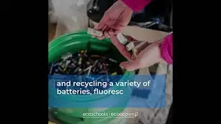 EcoStory: Beyond the Blue Bin