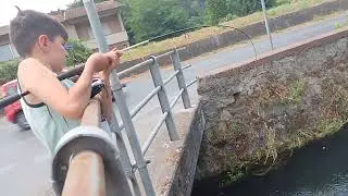 Caccia al cavedano