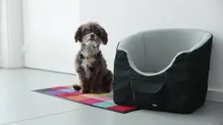 TRIXIE - Autositz