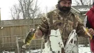 THE GREAT BLUE ICE REPORT MARCH  16 2019