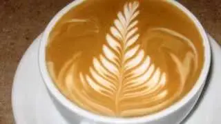 Koffiebar huren voor beurs, feest en congres | www.Evenses.com