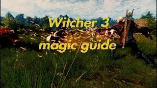 Witcher 3 magic guide you need to see