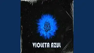 Violeta Azul