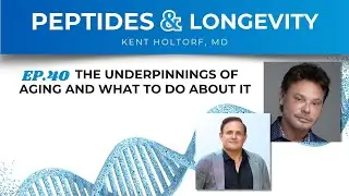 The Underpinnings of Aging and What to Do About It
