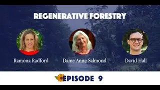 Regenerative Forestry for New Zealand