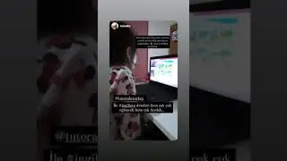 &Ouml;z&uuml;m'&uuml;n tutorJr ile ilk tanışması, &Ouml;z&uuml;m İngilizce &Ouml;ğreniyor, &Ouml;z&uuml;m is learning English #shorts