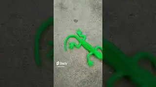 chhipkali dance video #chhipkali #gecko #lizard #shorts