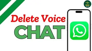 How to delete voice chat from WhatsApp ?