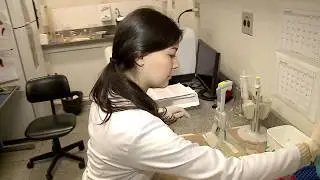 UNIPEX Institucional