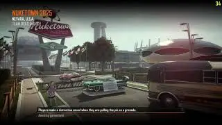 Cod Bo2 Plutonium mod menu