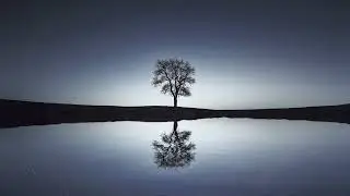 Here I Am Alone