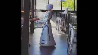 INDIGO the Waitress Robot