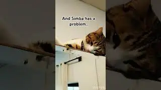 I miss you.. #trending #viral#shorts#subscribe