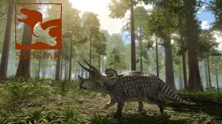 Saurian - Almost Adult!