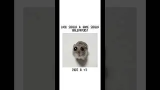 lockscreen & homescreen wallpapers! | part 8. #shortsfeed #lockscreens #tiktok #rizz #cute #shorts