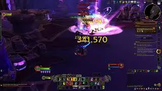 Tank Demon Hunter doing Fungal Folly delve T11