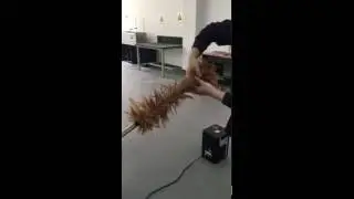 Sparkular Feather Duster With Hair Gel Demo