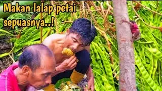 MANJAT PETAI | MAKAN LALAP PETAI | PANEN PETAI @MangMeoPetualang #bertualang #petai #lalapan