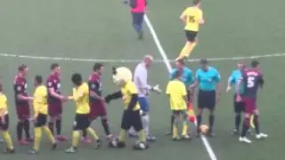 Harry Hornet on form!