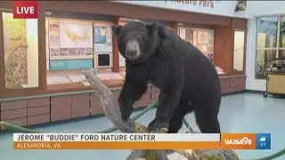 Get a first hand look at nature in Alexandria at the Jerome 