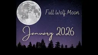 Releasing Blocks to Growth and Coming Home with this Full Wolf Moon Tarot Reading