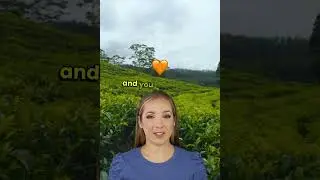 This Is the Best Tea You&rsquo;ll Ever Taste! - Unlimited Entertainment