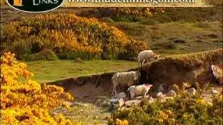 Dooks Golf Club, Ireland | Hidden Links Golf - Ireland Golf Trip