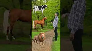 Tiger ने चिंटू को खा गया 😥~ mini wood - woodworking art skills/handcrafts /#shorts