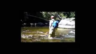 South Boulder Creek