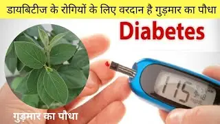 गुड़मार की पहचान और फायदे | gudmar ke fayde | gudmar plant in hindi | gudmar ka paudha |
