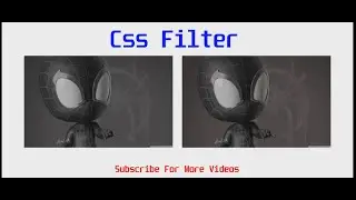 Create Black and White image with CSS | Gray Image Using CSS | HTML & CSS Tutorial