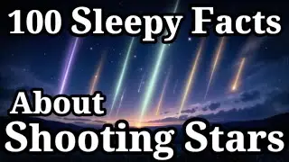 100 Gentle Facts About Sleeping Stars That Calm Your Mind to Sleep Tonight Slowly