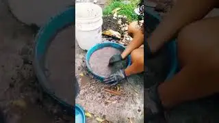 Compostera Casera 