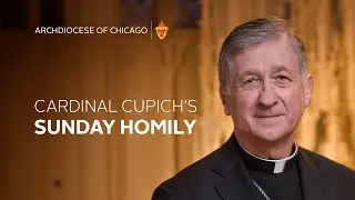 Cardinal Blase Cupich's Homily for August 2nd, 2025