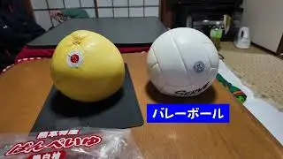 世界で一番大きい柑橘「晩白柚（ばんぺいゆ）」晩白柚の魅力上品な味わいと爽やかな香りである。