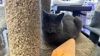 Creatures of habit! 😻😻