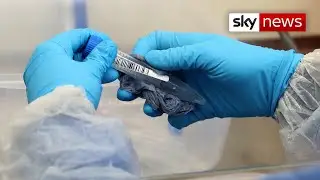 COVID-19: UK testing company broke health and safety laws at height of pandemic