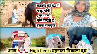 सर्दी में हाई हील👠👠पहन कर निकाल 🌀डायरेक्ट पिया दूध 🍼 buffalo milking by hand👌#cow #villagelife #vlog