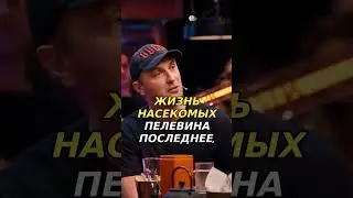 ЧТО ЧИТАЕТ ЗУБАРЕВ? #зубарев #баста #шоу #книги
