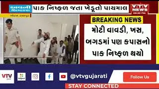 Botad News: બોટાદના રાણપુર તાલુકામાં ખેડૂતો મુશ્કેલીમાં, કપાસમાં સુકારો આવતા પાક નિષ્ફળ