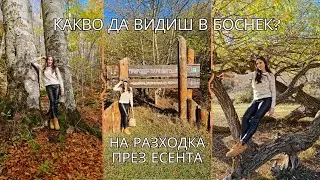 ЗАБЕЛЕЖИТЕЛНОСТИ В БОСНЕК