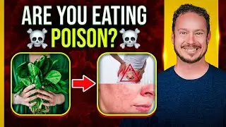 Oxalates & Oxalate Dumping: What&rsquo;s REALLY Going On?