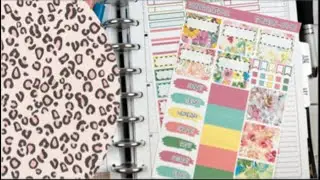 Plan With Me// Wonder Stickers Co// TPC Nation Hybrid Planner