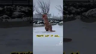trex let it go winter snow storm - t-rex toronto downtown papi min