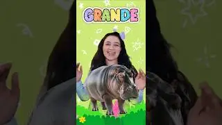 Aprende Palabras Opuestas Para Ni&ntilde;os | Palabras Ant&oacute;nimas #videoeducativo #ni&ntilde;os #opuestos