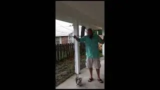 Easy cast net throw, no teeth