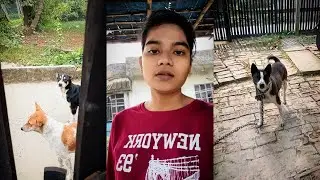 Mr.Golur শুধু ঘুরতে যাওয়ার বায়না ❤️😊